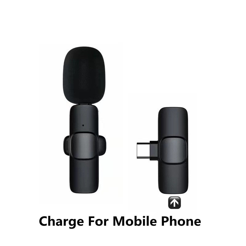 Wireless Lavalier Microphone Portable Audio Video Recording Electronics DealSniper.net For Type C