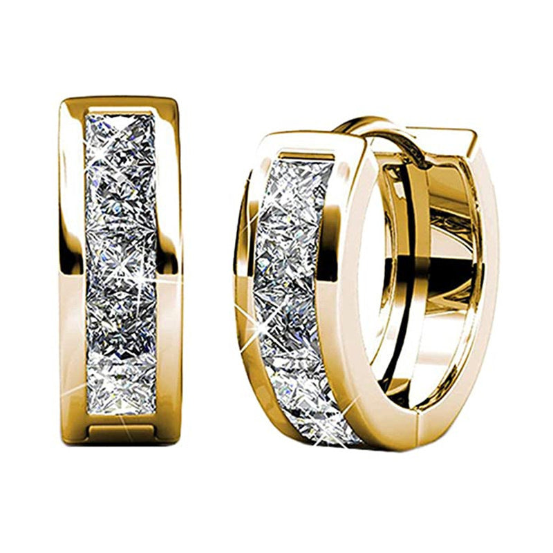 Temperament Wild Fashion Men And Women Earrings Jewelry Gym From House E2247 Gold