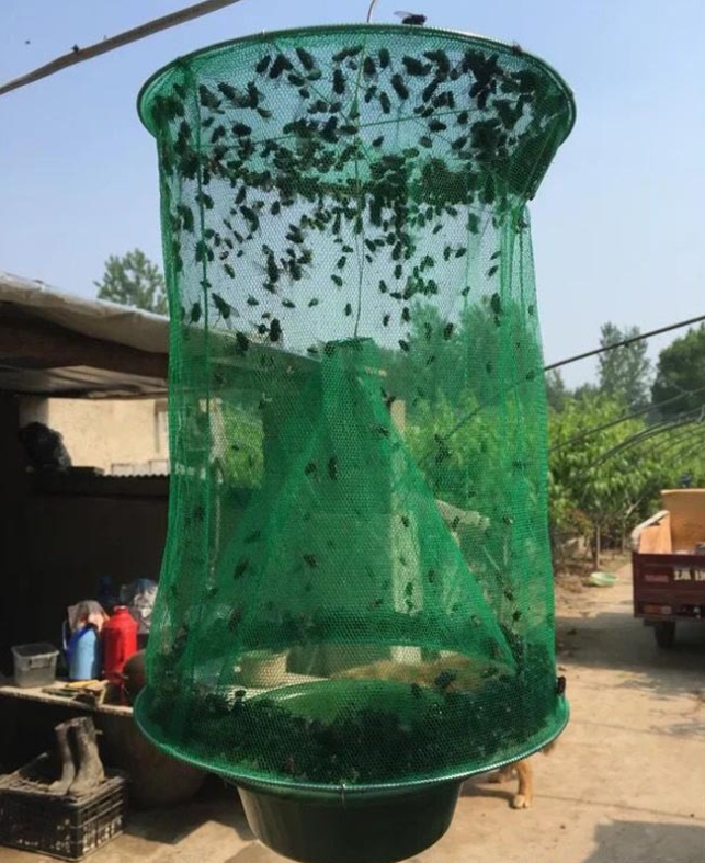 Farm park community hand-suspended room outdoor green fly trap cage fly cage Home Decor dealsniper-net