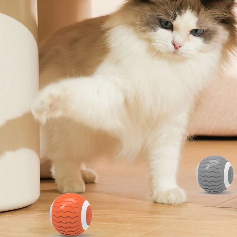 Electric Automatic Intelligent Gravity Rolling Ball Bite Resistance Pets DealSniper.net