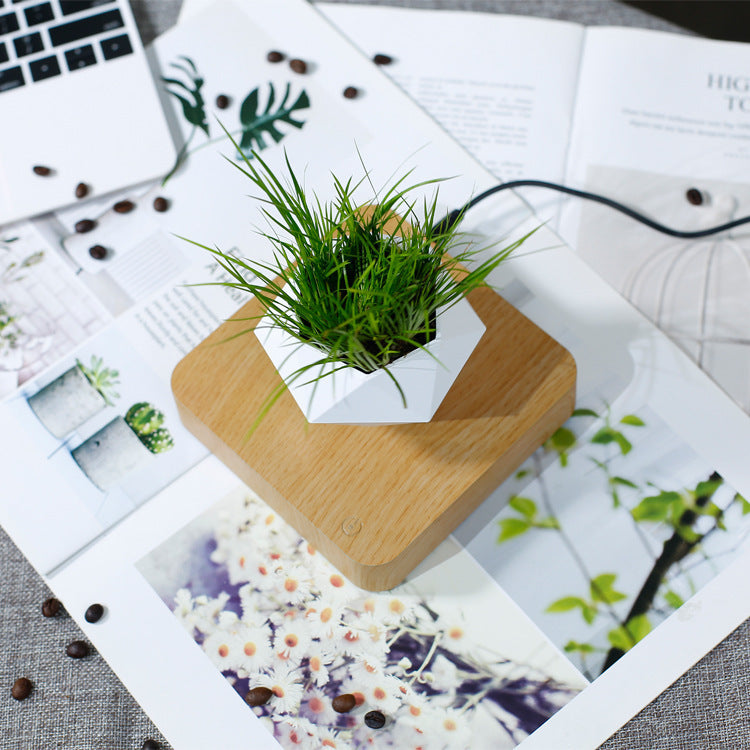 Magnetic Levitation Polygonal Wood Grain Potted Plant Home Decor DealSniper.net