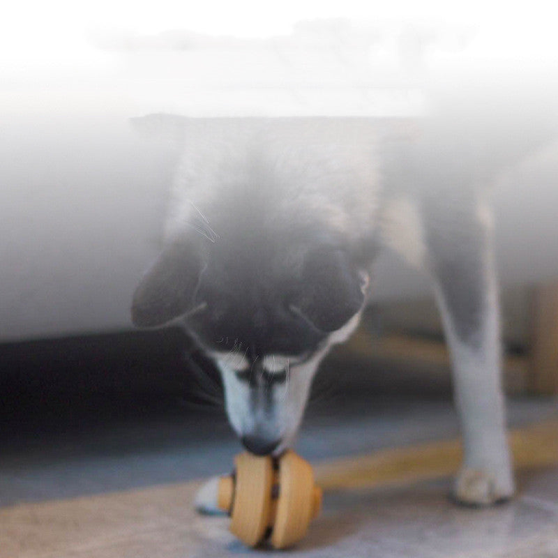 Pet Dog Toy Ball Bite-resistant Teeth Cleaning Pets DealSniper.net