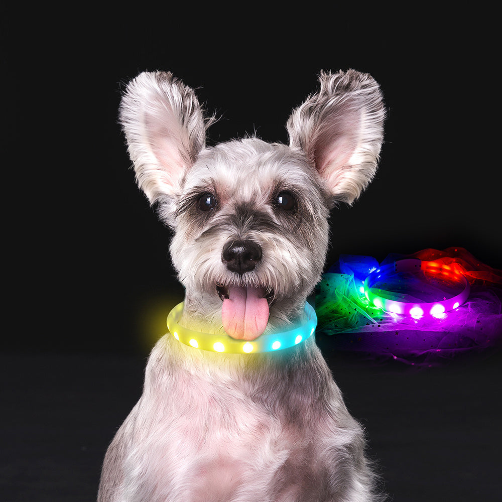 Flash Collar Dogs USB Charging Anti-Lost Silicone Necklace Pets DealSniper.net