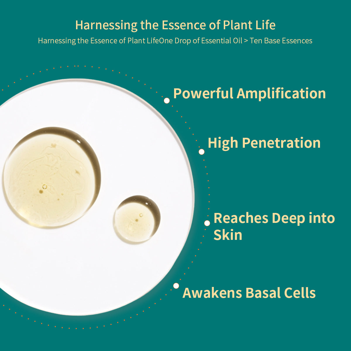 Crogooe-Wormwood Essential Oil,100 Pure Oil Blend Contains Beauty DealSniper.net