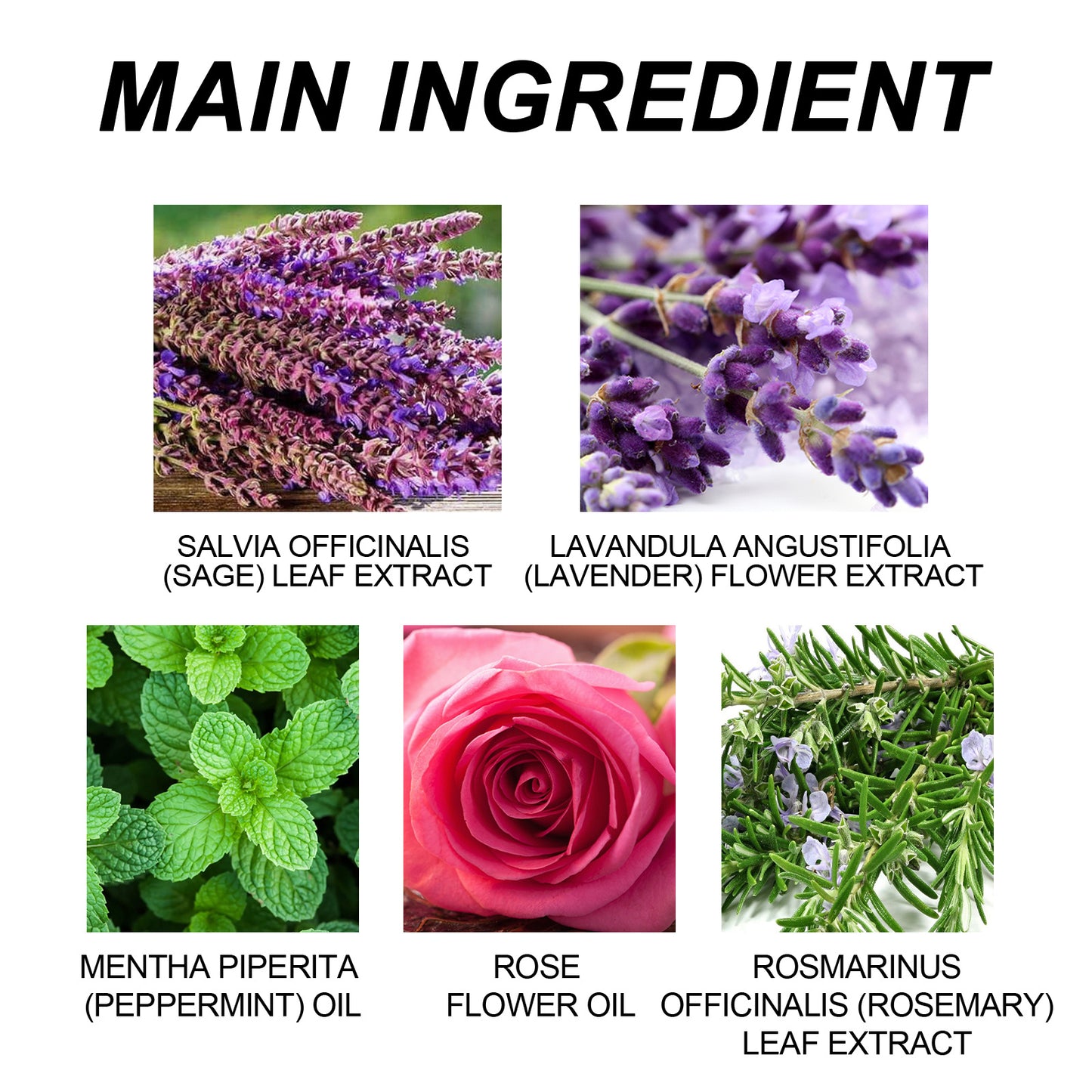 Ximonth Essential Oil Good Night Patch Help To Fall Asleep Beauty DealSniper.net