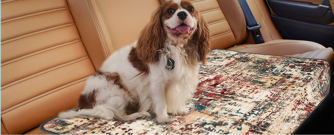 Washable Pee Pads For Dogs, 2 Pack Reusable Puppy Pads Pets DealSniper.net