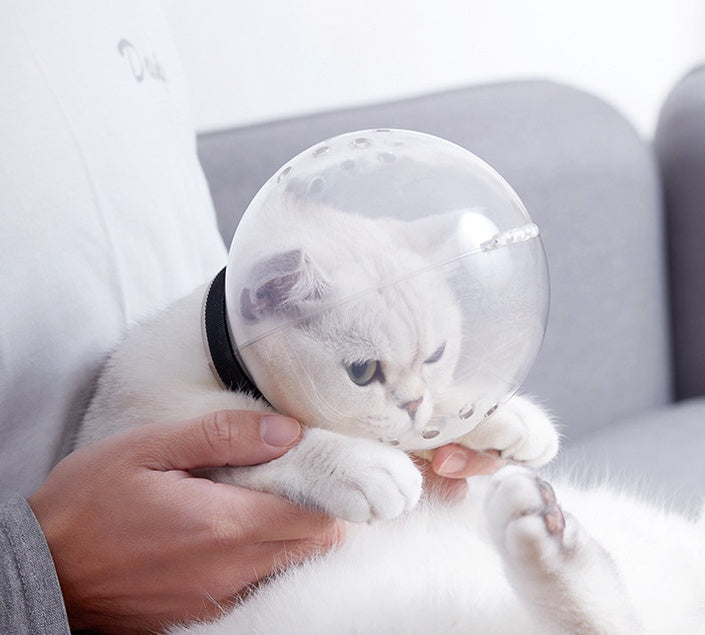 Final Edition Price Change, Safe And Breathable Cat Headgear Pets DealSniper.net