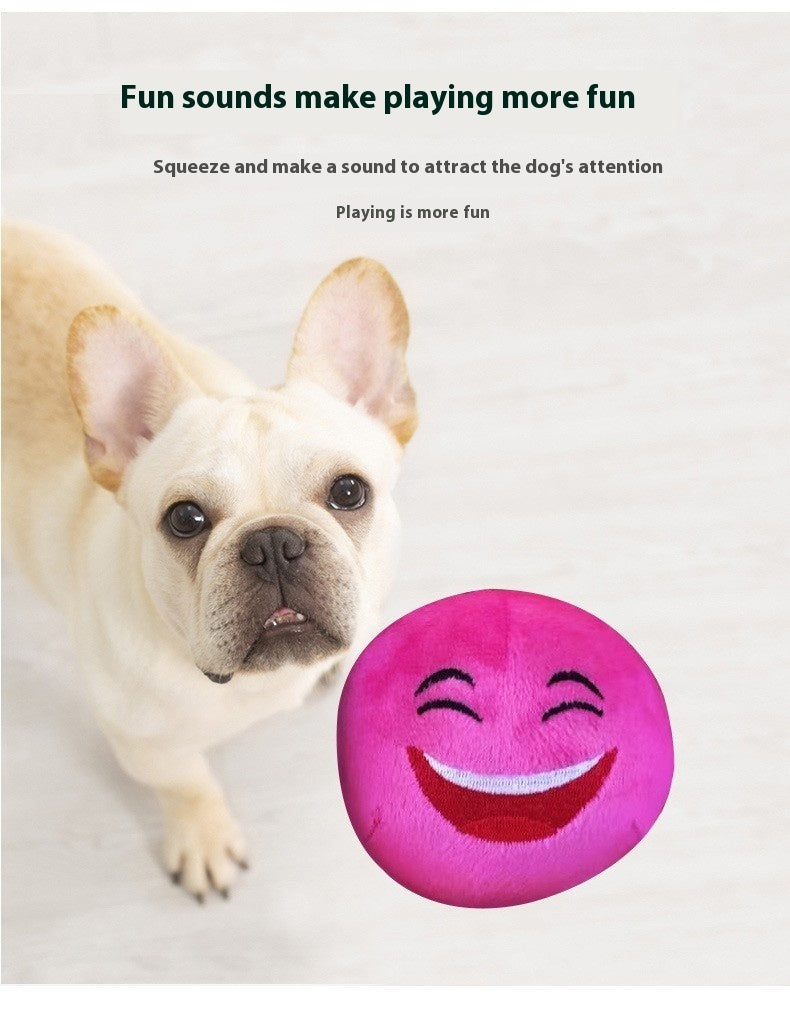 Pet Puzzle Bite-resistant Puppy Training Vocal Ball Pets DealSniper.net