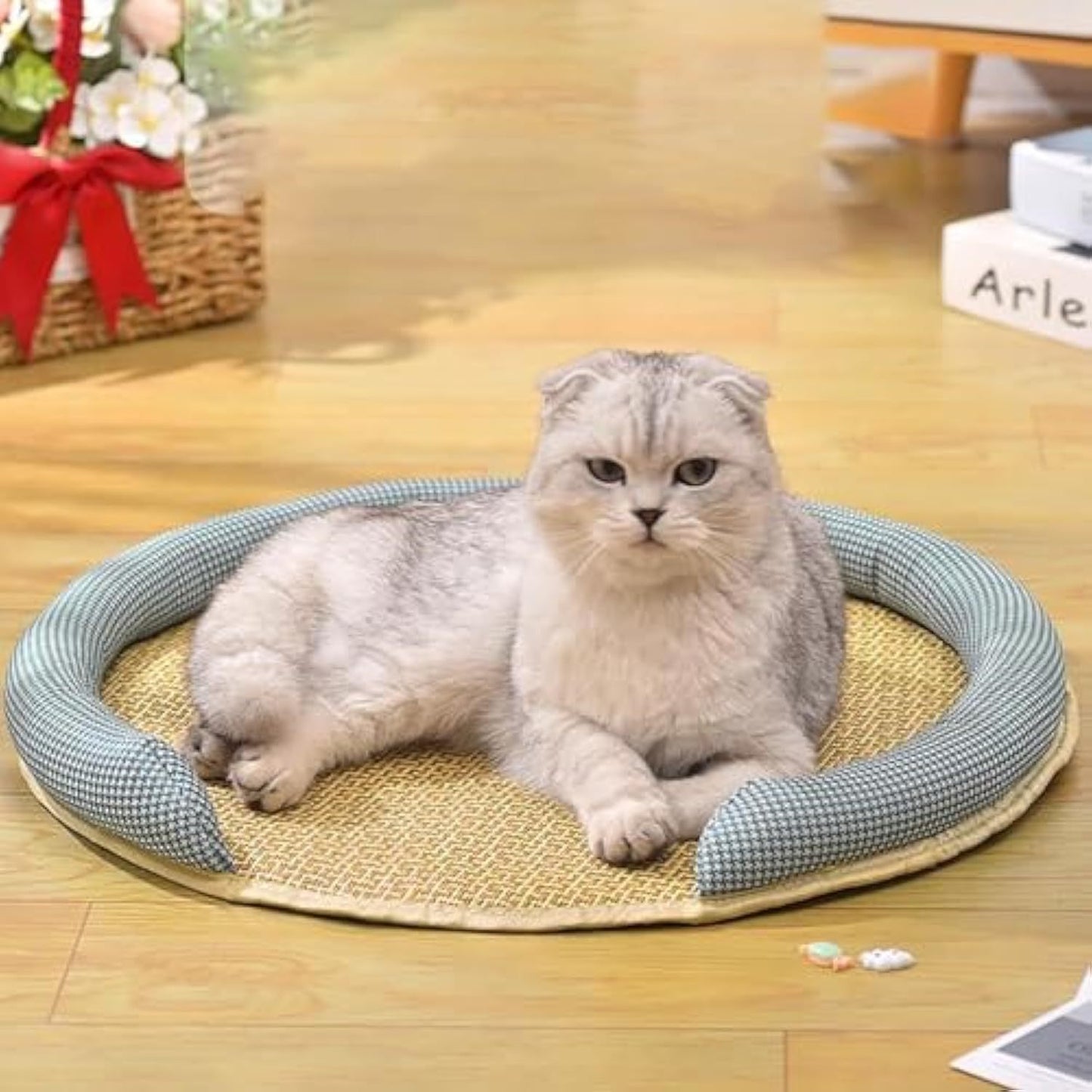 Cooling Mat For Cats - Rattan Pet Bed With Breathable Cushion And Summer Mattress Pets DealSniper.net