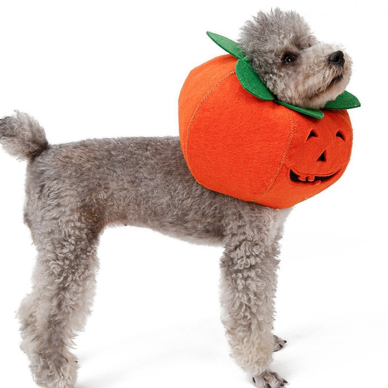 Pet Halloween Pumpkin Collars Cute Pet Cosplay Accessories Pets DealSniper.net