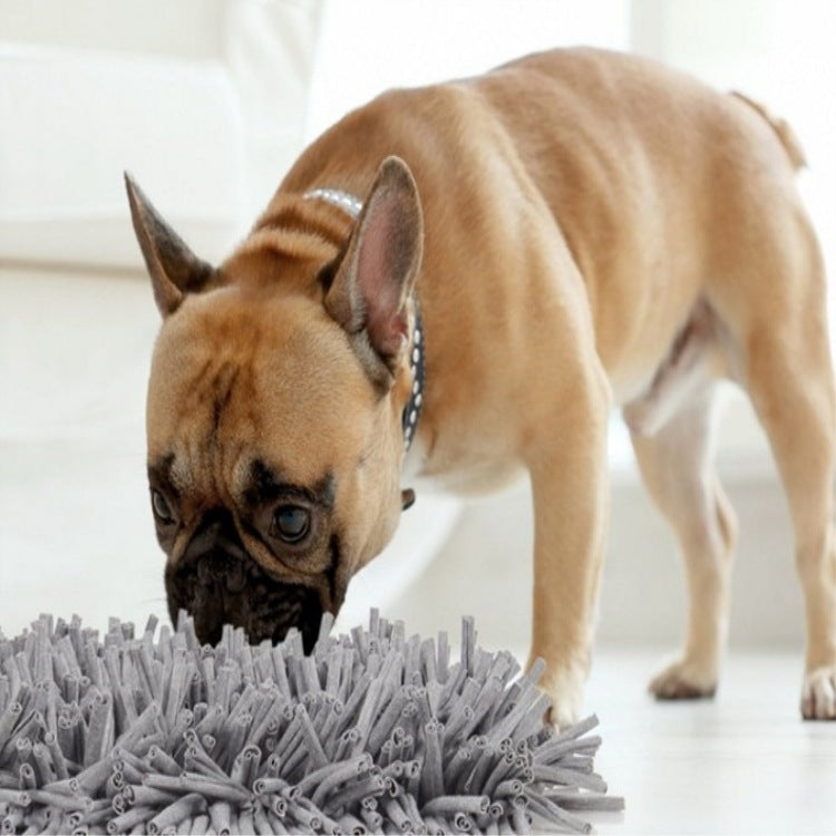 Pets. Sniffing pads. Exhausting energy Pets DealSniper.net