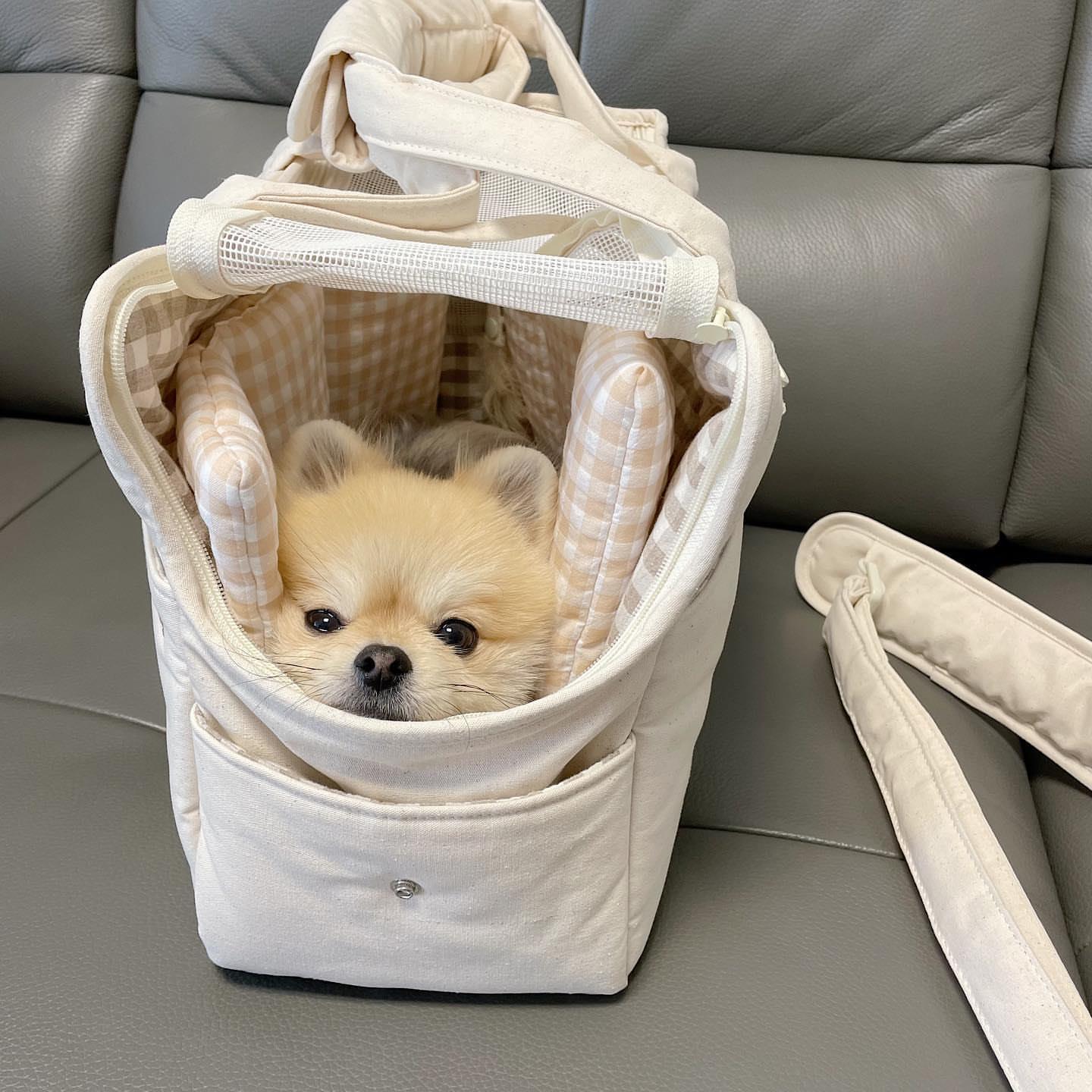 Pet Small Dog Hand Messenger Bag Pets DealSniper.net