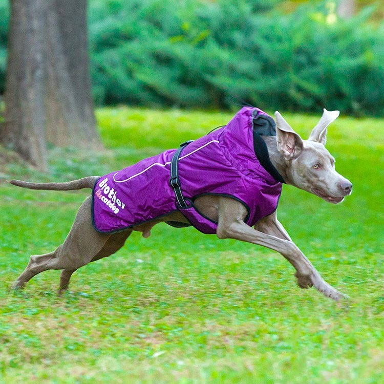 Fashionable And Simple Waterproof And Reflective Nylon Pet Clothes Pets DealSniper.net