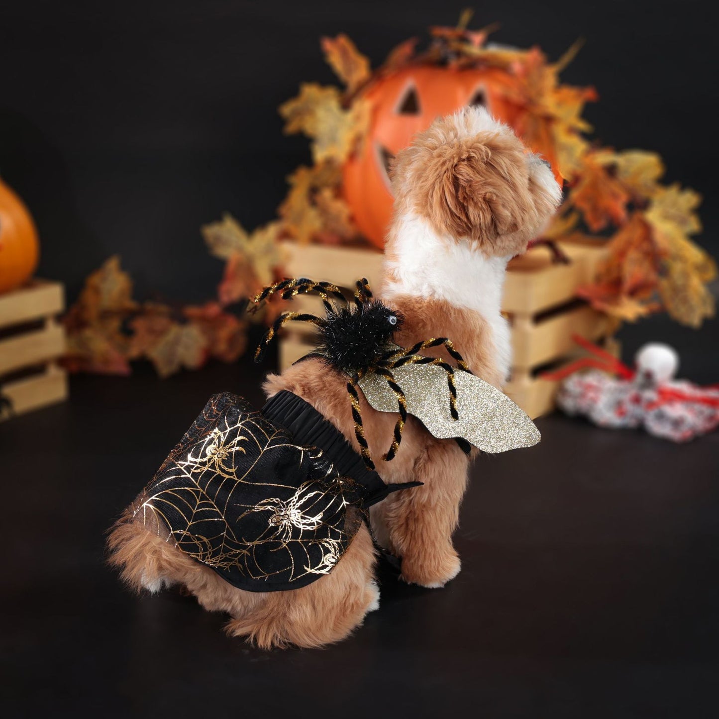 Pet Clothes Clothes Halloween Party Dog Suit Pets DealSniper.net