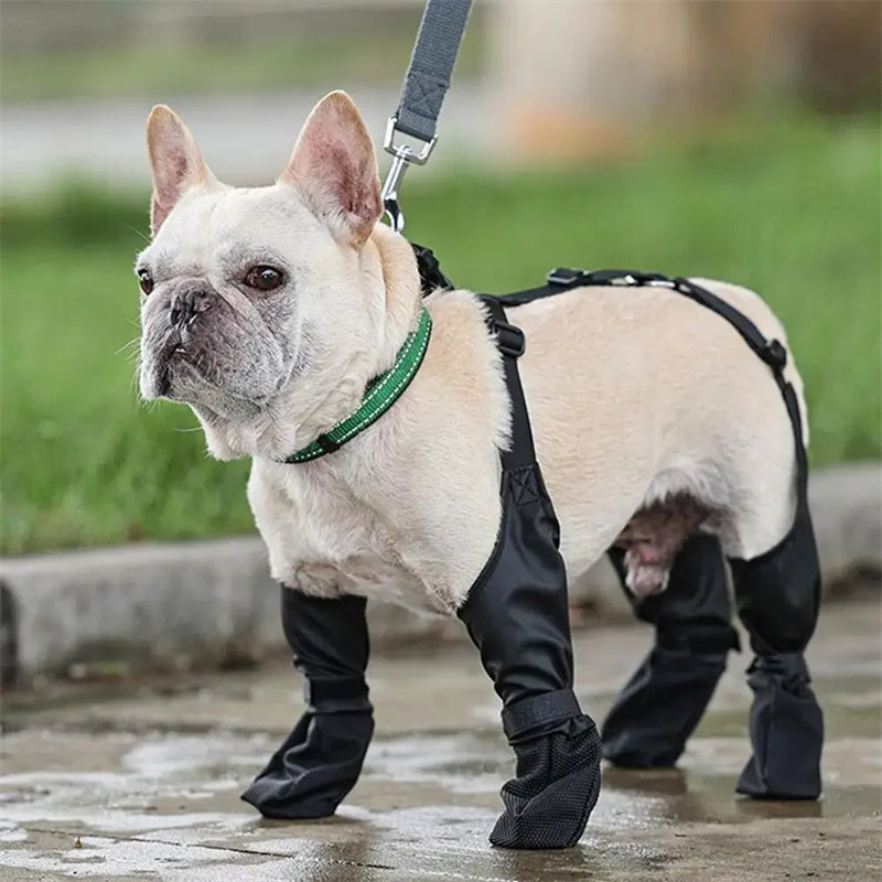 Waterproof Dog Shoes Adjustable Dog Boots Pet Pets DealSniper.net