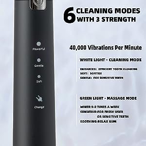Electric Toothbrush For Adults,8 Brush Heads Toothbrush With 40000 VPM,Charge Once Last For 365 Days,6 HIGH-Performance Brushing Modes,Electric Toothbrush Health DealSniper.net