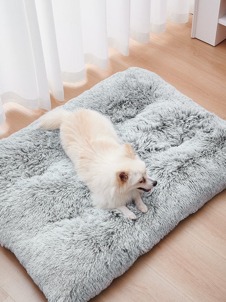 Dog Bed Mats Washable Large Dog Sofa Bed Portable Pets Gym From House