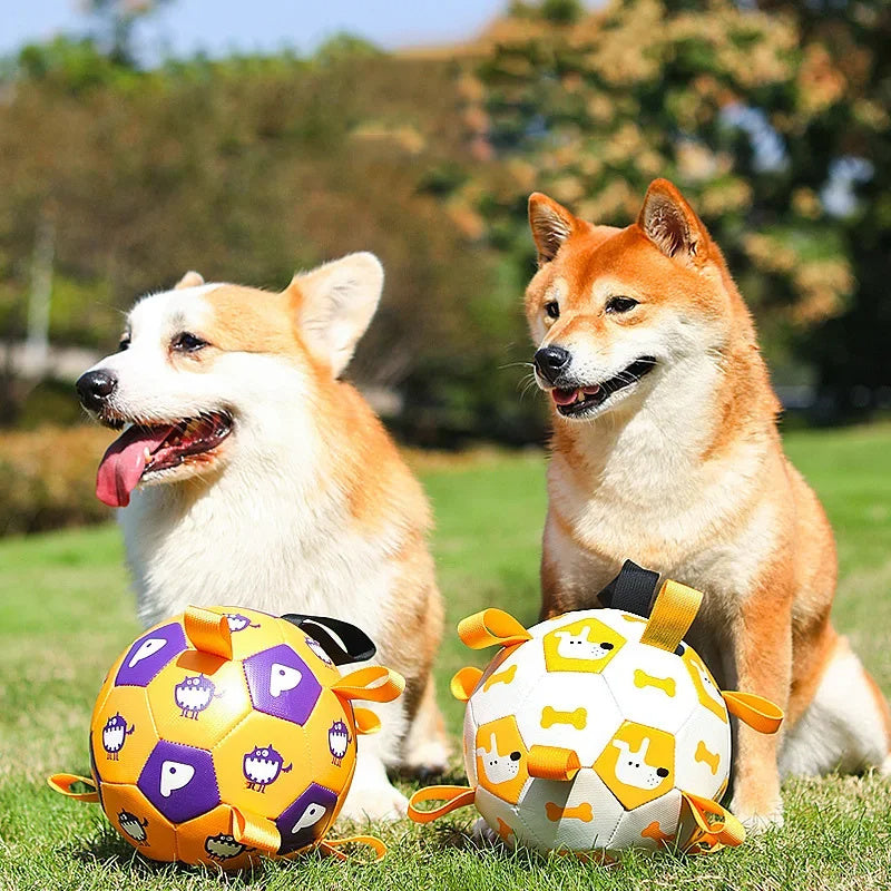 Dog Interactive Football Toys Children Soccer Dog Outdoor Pets DealSniper.net