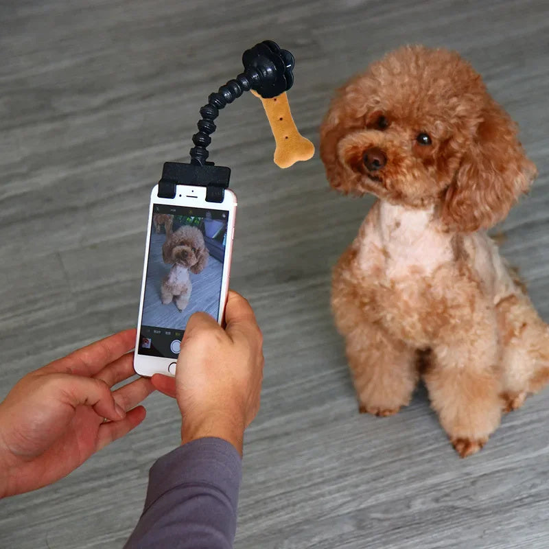 Pet Photography Tool Cat Dog And Dog Viewing Lens Pets DealSniper.net