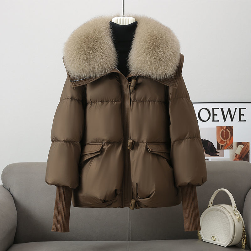 Down Cotton-padded Jacket Women's Short Clothing Women DealSniper.net Brown 2XL