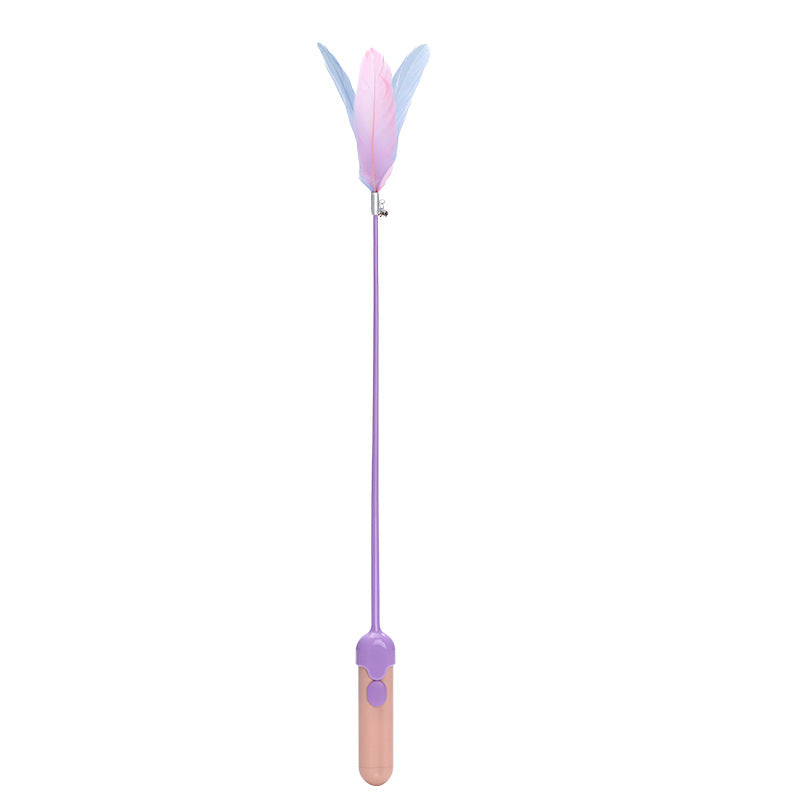 New Pet Cat Toy Products Feather Teasing Stick Pets Gym From House Pink