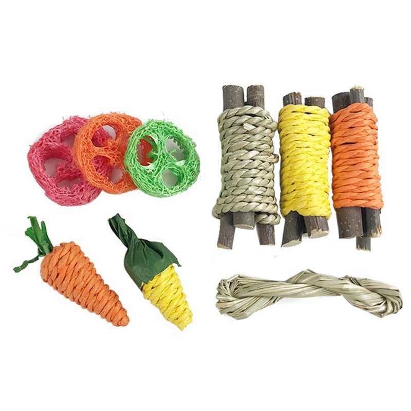Pet Cleaning Hamster Rabbit Teeth Grinding Toy Pets DealSniper.net