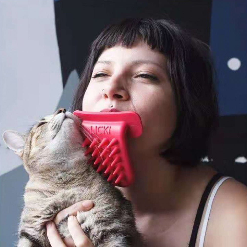 Household Hair Removal And Beauty Silicone Comb Pets DealSniper.net