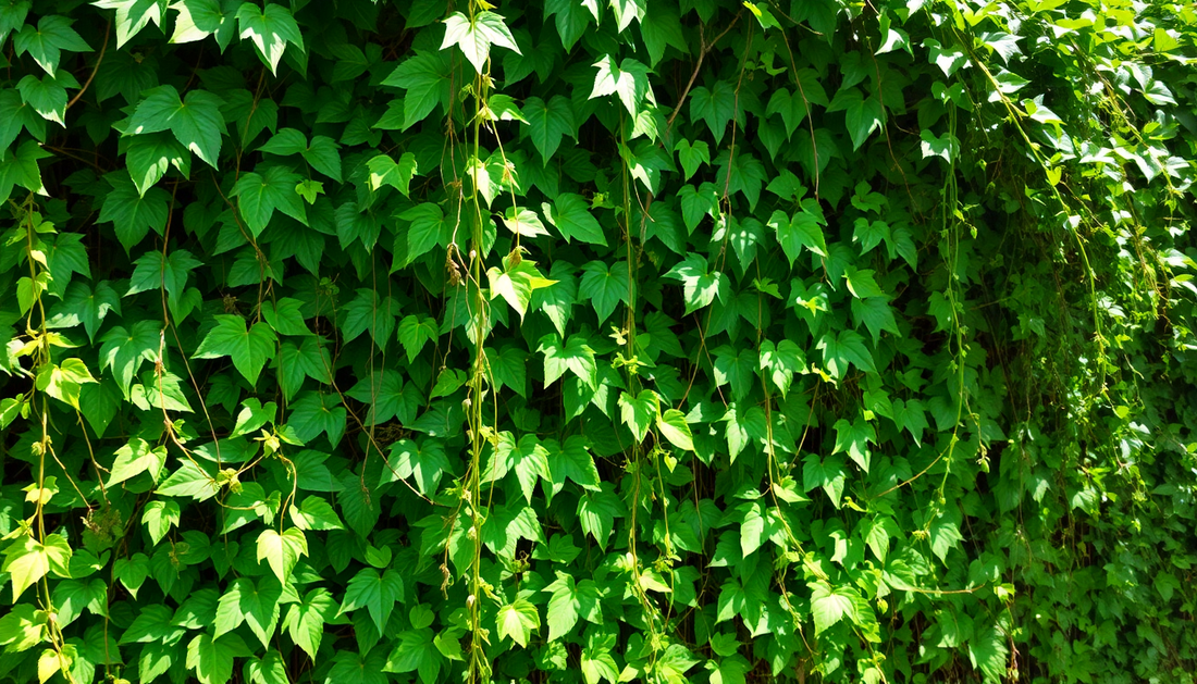 Elevate Your Garden with Unbeatable Deals on Plant Fixture Clips and More at DealSniper.net