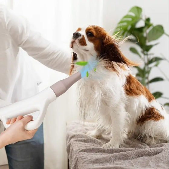 Dog Cat Hair Blower With Negative Ion Temperature Pets DealSniper.net