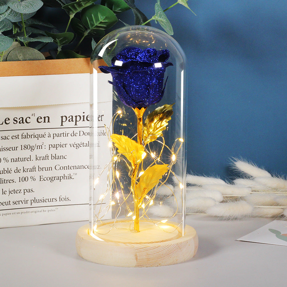 Valentines Day Gift For Girlfriend Eternal Rose Flowers LED Light In Glass Deals DealSniper.net