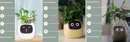 Smart Planter Endless Fun Over 49 Rich Expressions