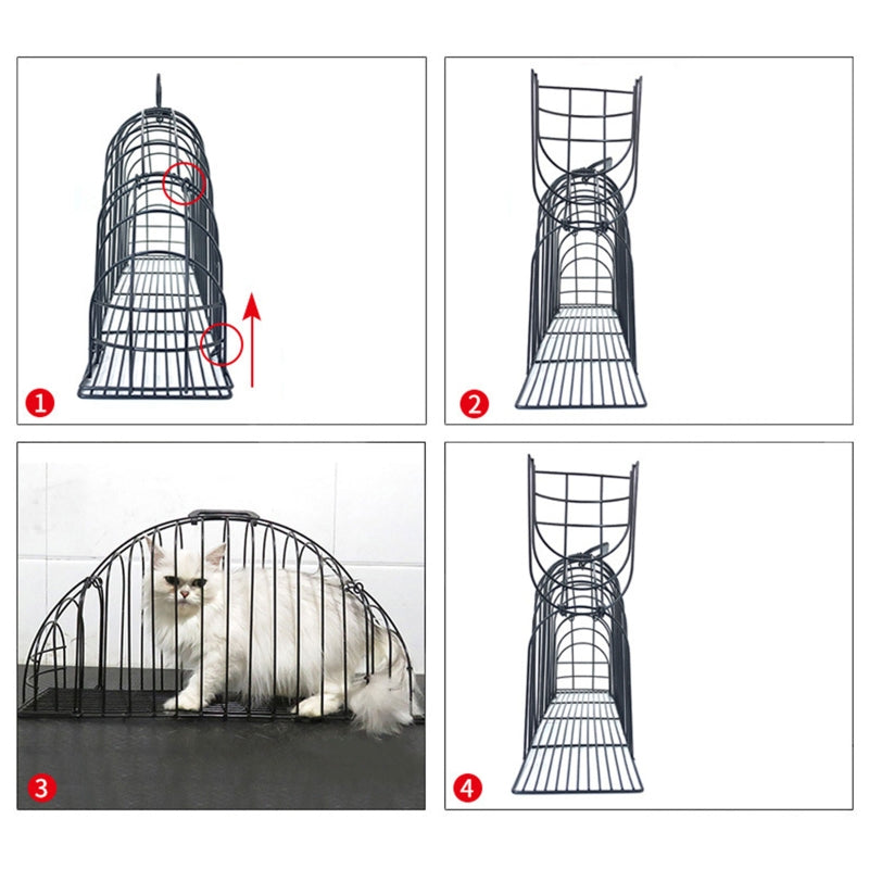 Cats Use A Bath And Transport Cage To Prevent Scratching Pets Gym From House