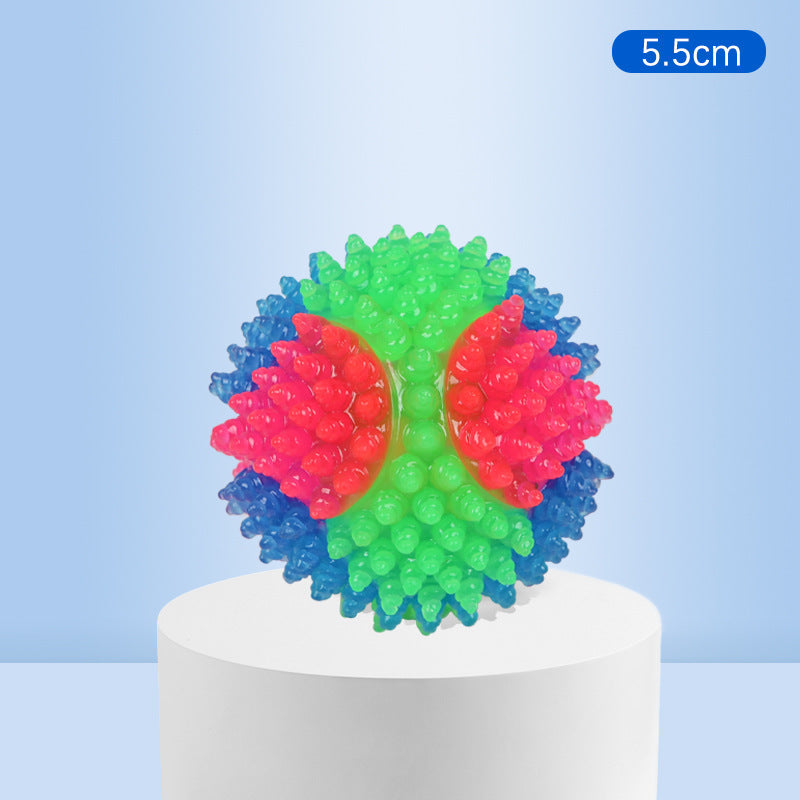 Small Dog Pet Training Interactive Luminous Elastic Ball Pets Gym From House 5.5cm Barbed Style