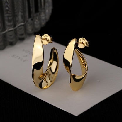 Cold Wind Earrings Fashion Exaggerated Glossy Ear Buckle Earrings Jewelry dealsniper-net