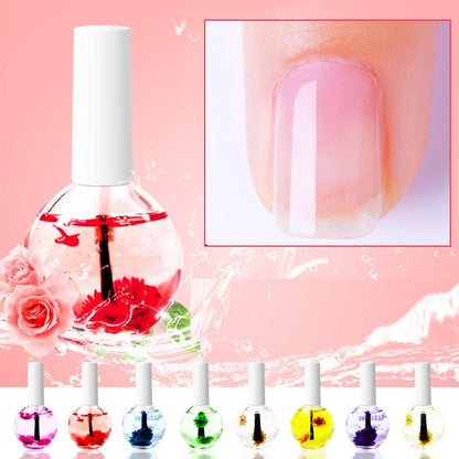 Nail Beauty Dried Flowers Nutrition Nail Treatment Oil Anti-agnai