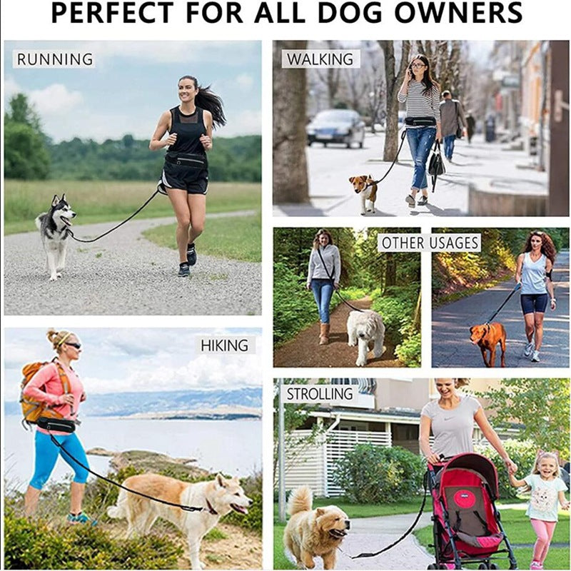 Hands Free Dog Leash Pet Walking And Training Belt Pets Gym From House