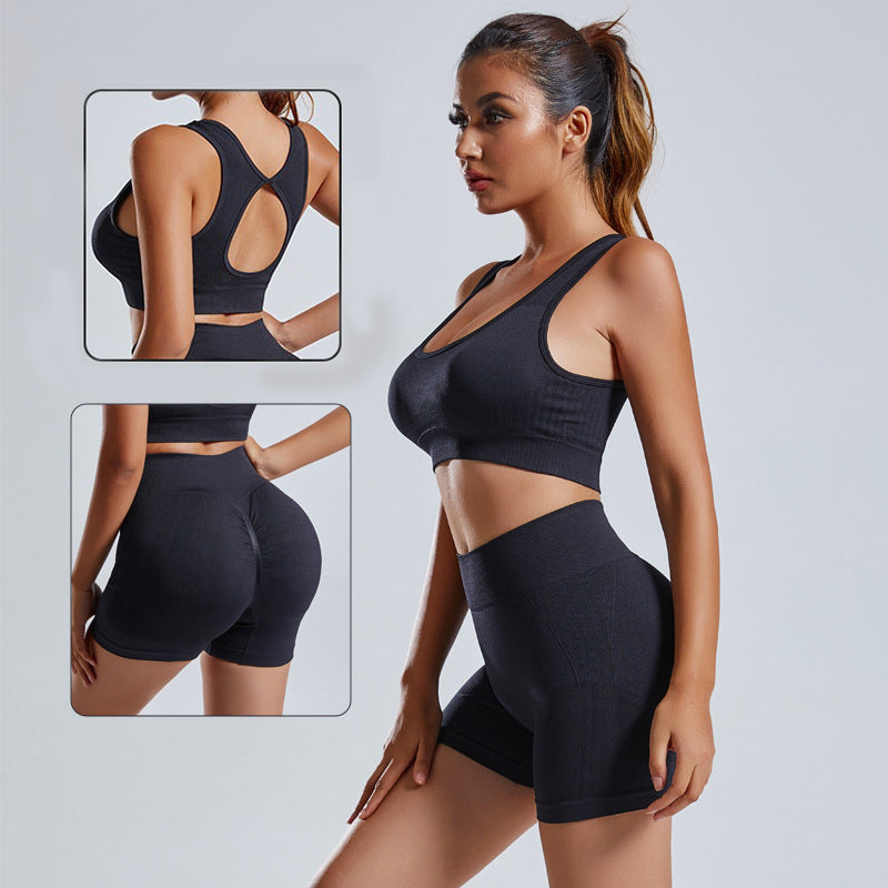 2pcs Yoga Set Women's Vest And Shorts Tracksuit Seamless Women Gym From House