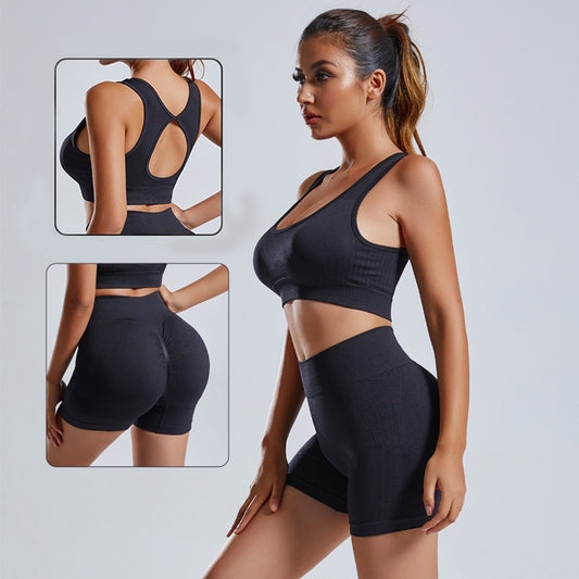 2pcs Yoga Set Women's Vest And Shorts Tracksuit Seamless Women Gym From House