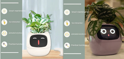 Smart Planter Endless Fun Over 49 Rich Expressions