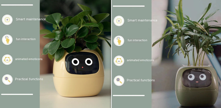 Smart Planter Endless Fun Over 49 Rich Expressions