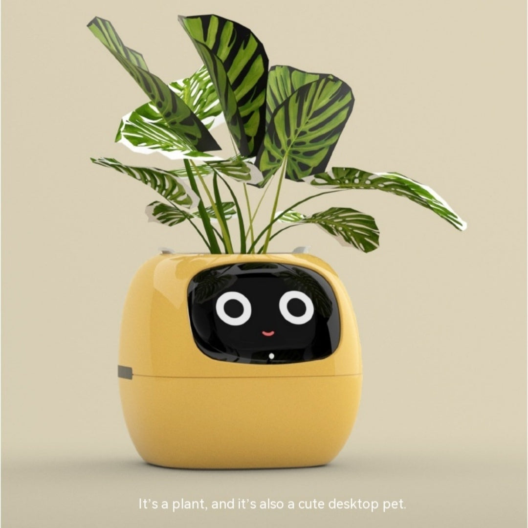 Smart Planter Endless Fun Over 49 Rich Expressions Home Decor dealsniper-net