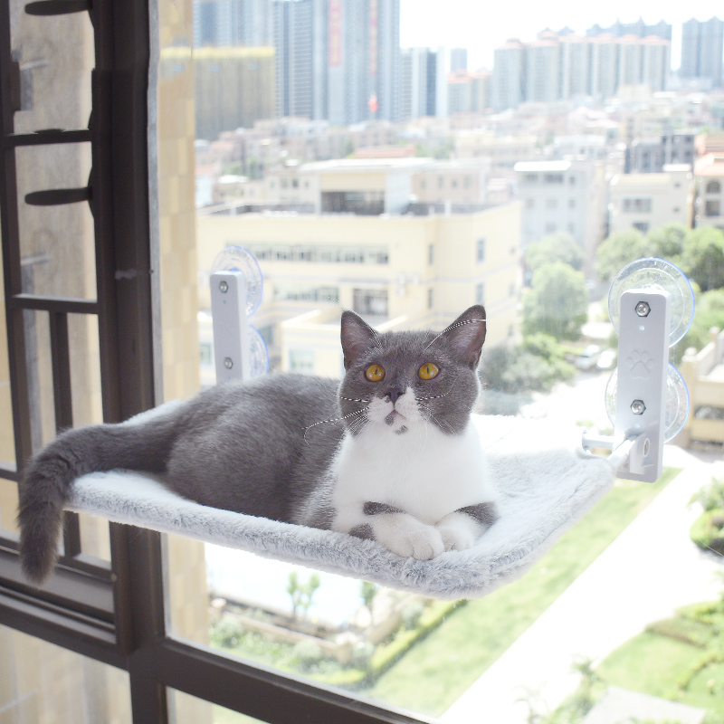 Cat Suction Cup Window Glass Hammock Pet Cat Pets Products Pets dealsniper-net Grey 30x45CM Rabbit hair plush