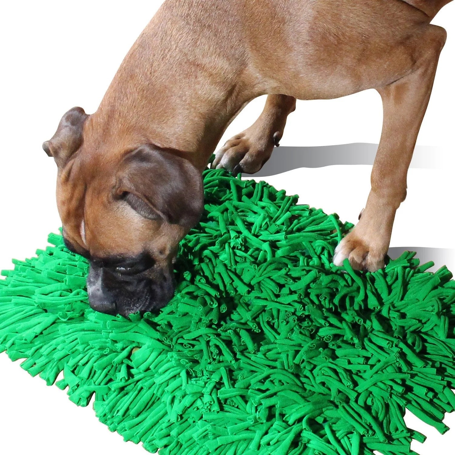 Pets. Sniffing pads. Exhausting energy Pets dealsniper-net