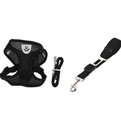 Pet Car Seat Belt Pet Leash Pets Gym From House Black 2 L