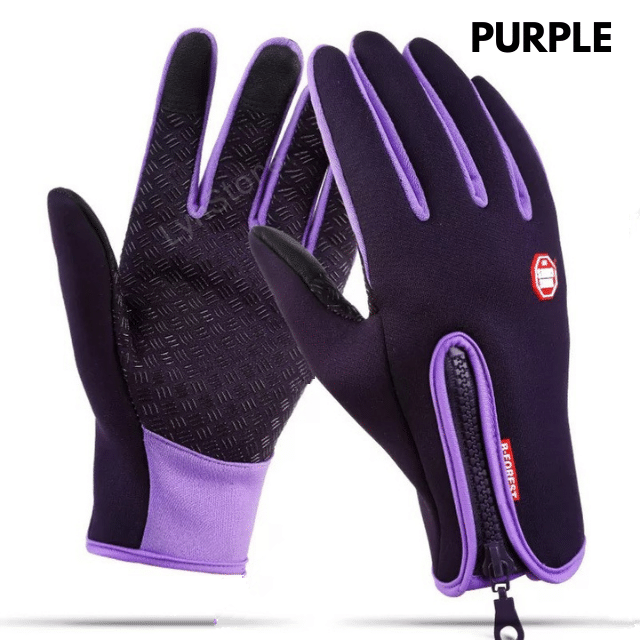 Winter Gloves Touch Screen Riding Motorcycle Sliding Waterproof Sports Gloves With Fleece Men dealsniper-net Purple L