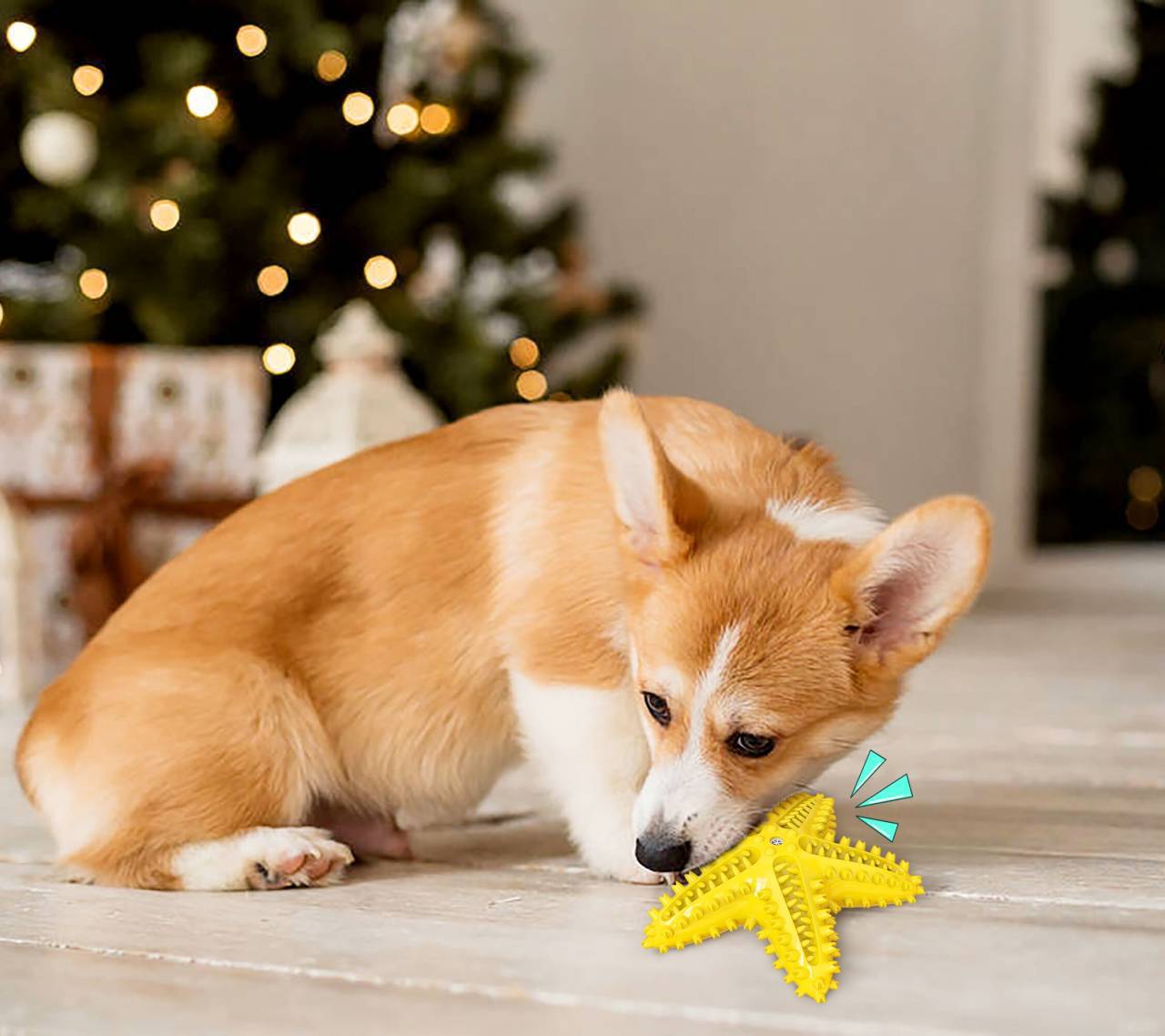 Starfish Vocal Pet Dog Toy Molar Stick Pets Gym From House Yellow