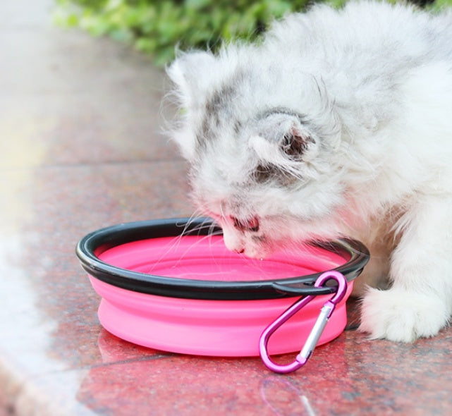 2 In 1Pet Water Bottle Dispenser Travel Portable Bowl Pets Gym From House