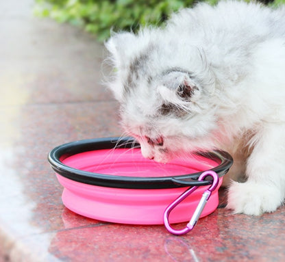 2 In 1Pet Water Bottle Dispenser Travel Portable Bowl Pets Gym From House