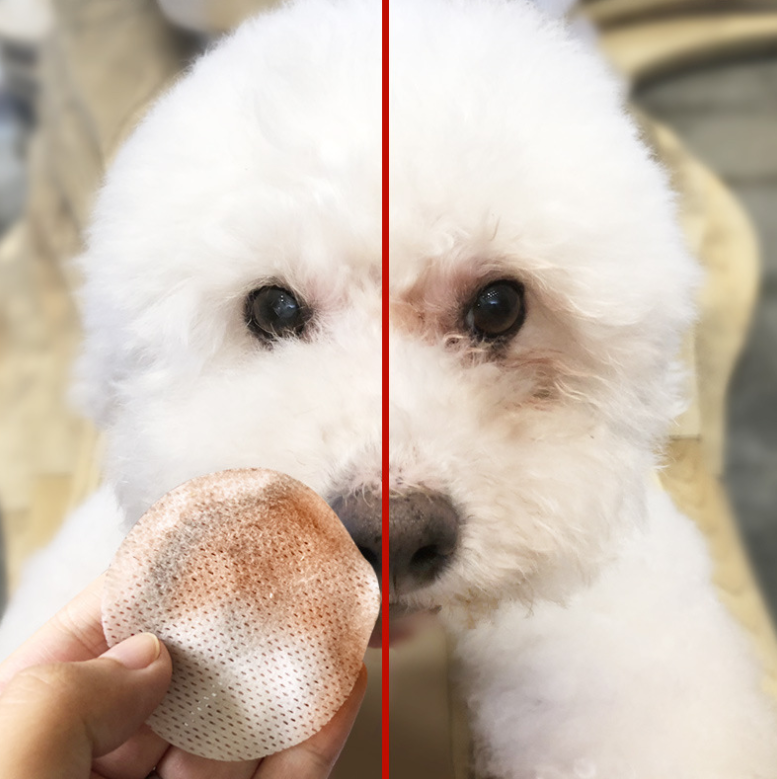 Pets to tears wipes Teddy Bear Xiong Bomei cat eyes tear stains cleaning paper towels pet supplies 100 pieces Pets dealsniper-net