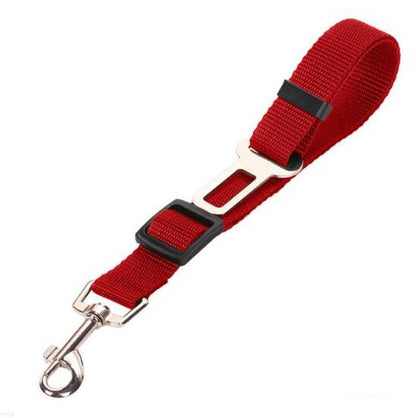 Pet Car Seat Belt Pet Leash Pets Gym From House